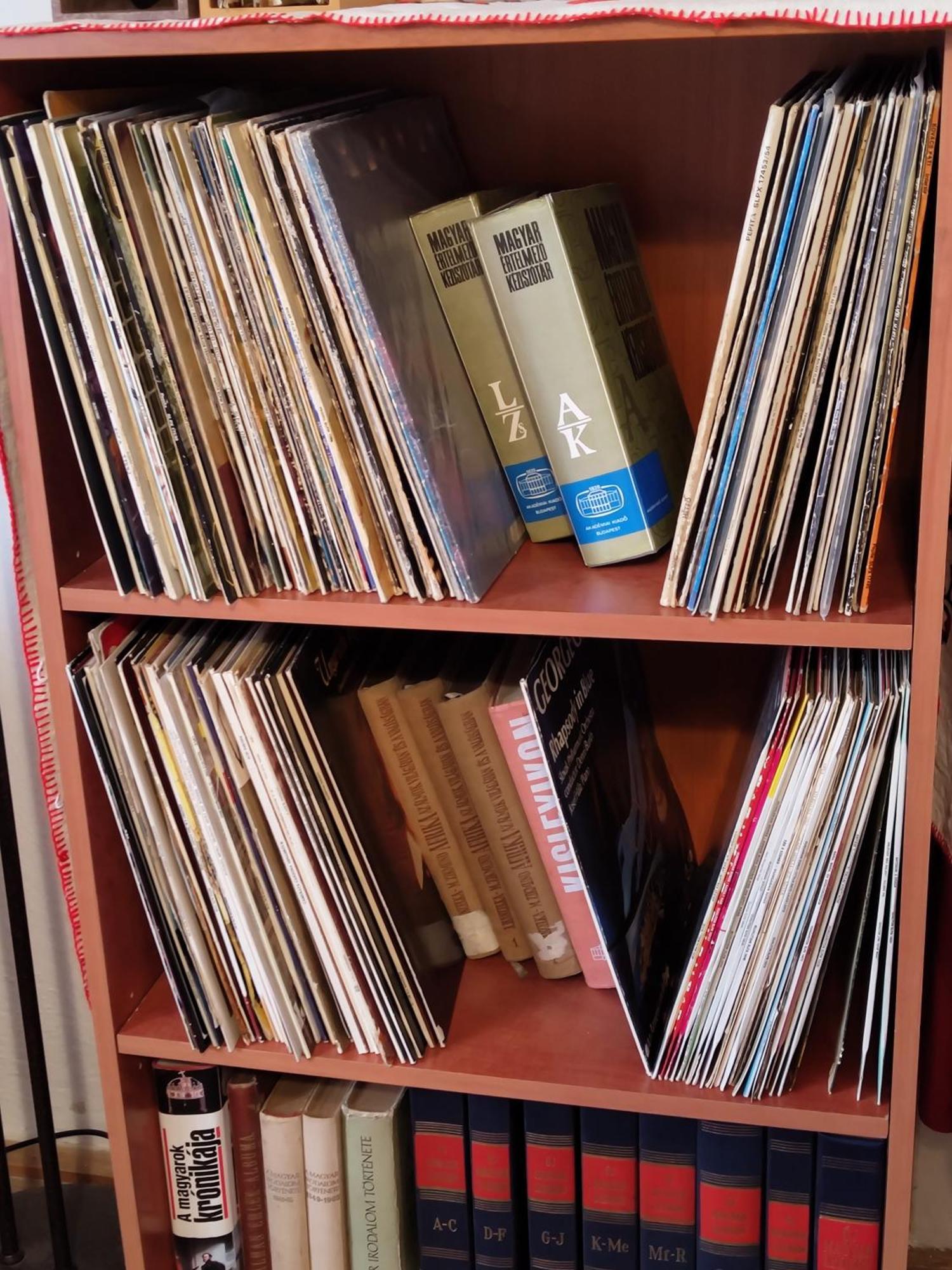Strekov Vinyl House旅馆 外观 照片